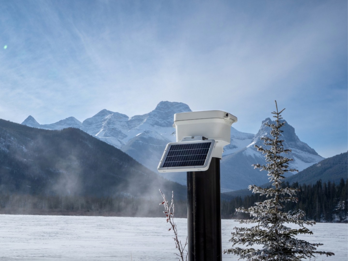 Scaling North: EWS Establishes Canadian Presence